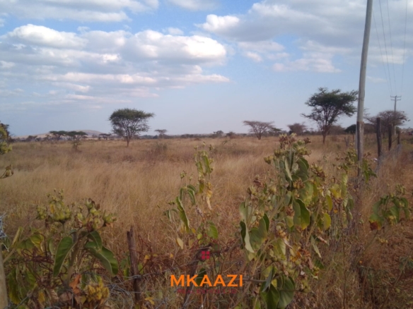 50×100 plots for sale at 10514 Titeeyio Hub along Emai–Loitoktok Road, 2km from Duka Moja. Ready title deeds, highway access and utilities underway.