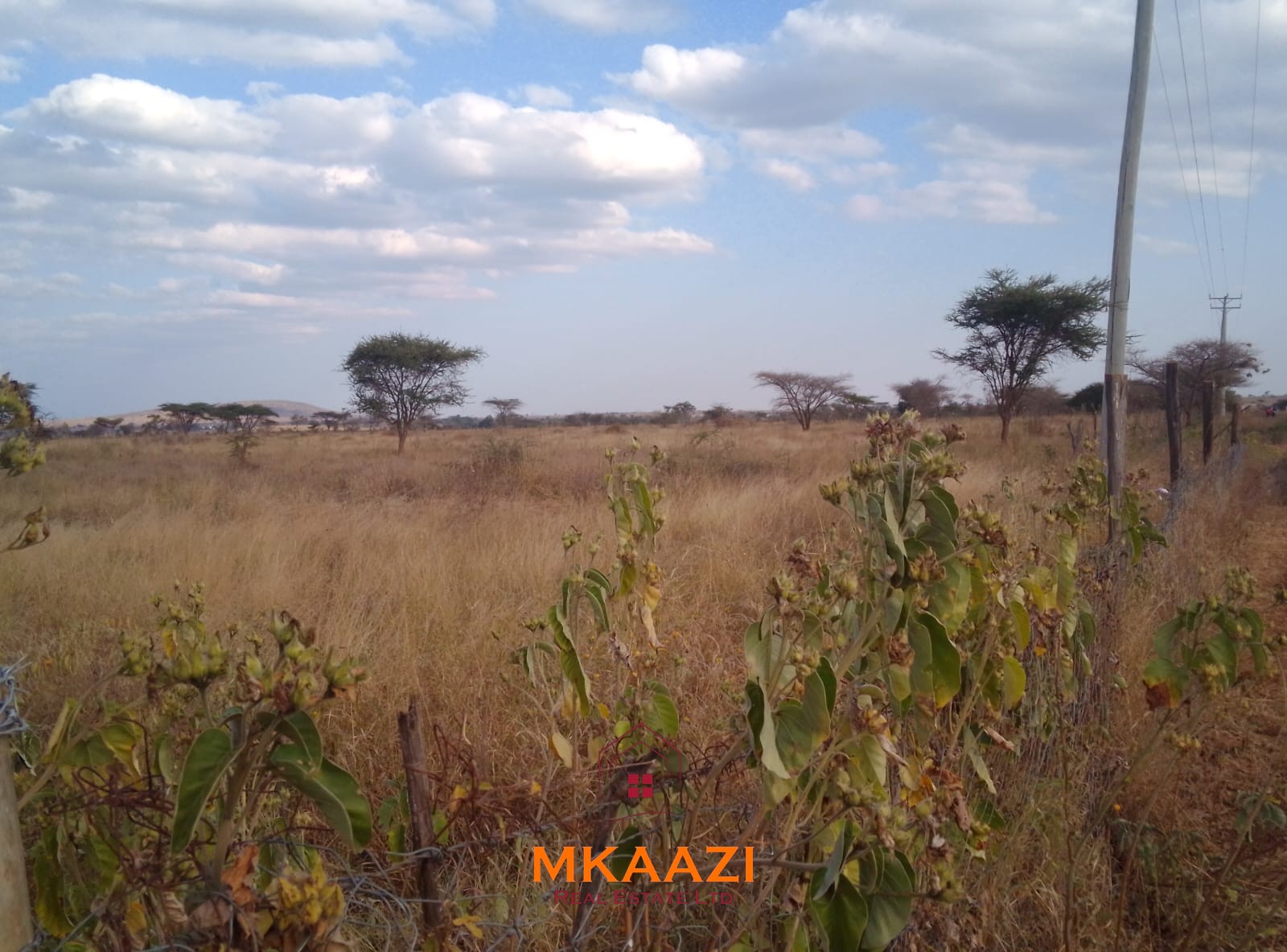 50×100 Plots for Sale at Titeeyio Hub | KES 700K 50×100 plots for sale at 10514 Titeeyio Hub along Emai–Loitoktok Road, 2km from Duka Moja. Ready title deeds, highway access and utilities underway.