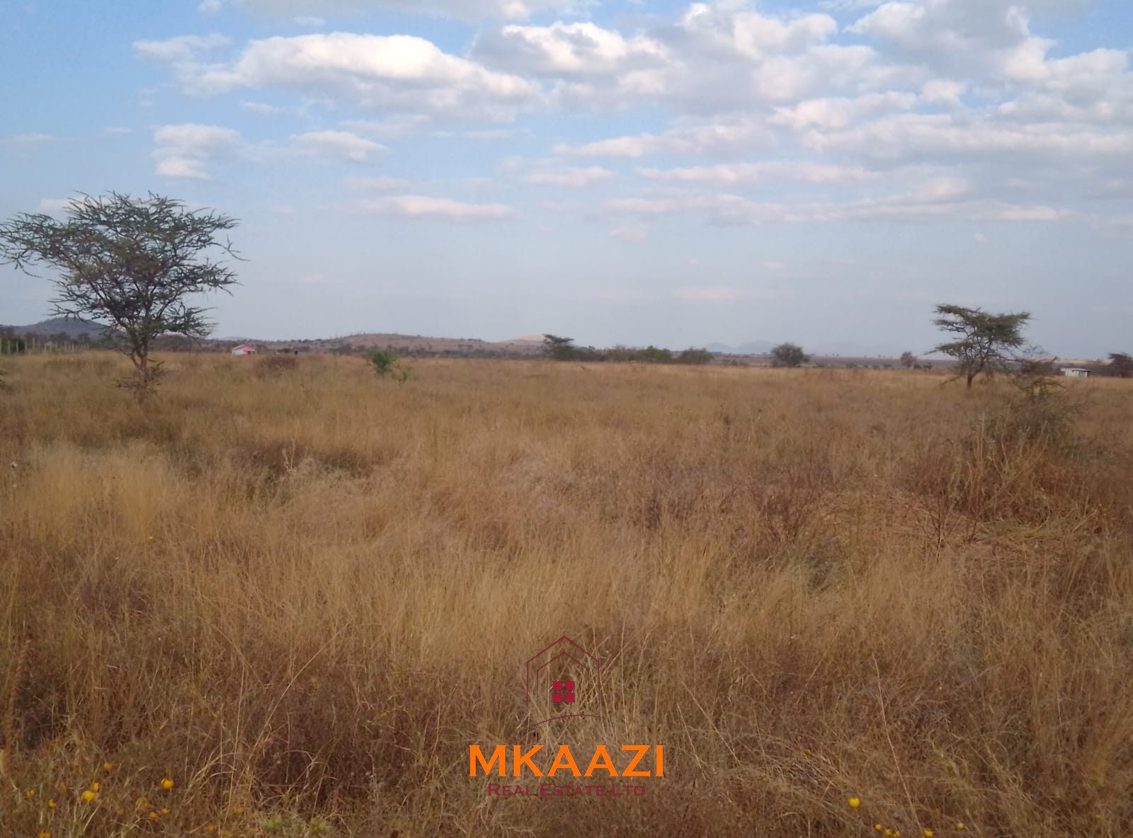 50×100 Plots for Sale at Titeeyio Hub | KES 700K 50×100 plots for sale at 10514 Titeeyio Hub along Emai–Loitoktok Road, 2km from Duka Moja. Ready title deeds, highway access and utilities underway.