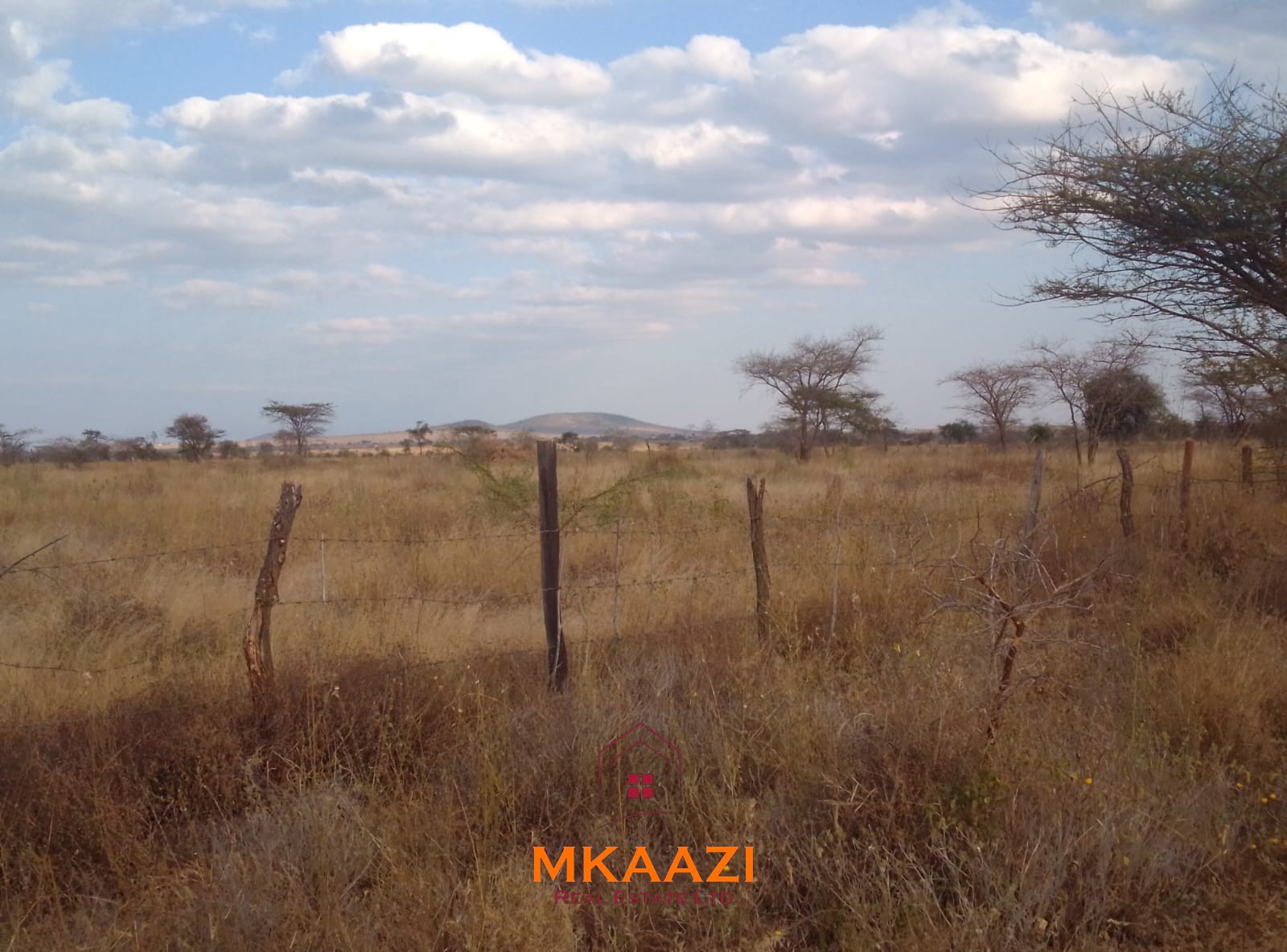 50×100 Plots for Sale at Titeeyio Hub | KES 700K 50×100 plots for sale at 10514 Titeeyio Hub along Emai–Loitoktok Road, 2km from Duka Moja. Ready title deeds, highway access and utilities underway.