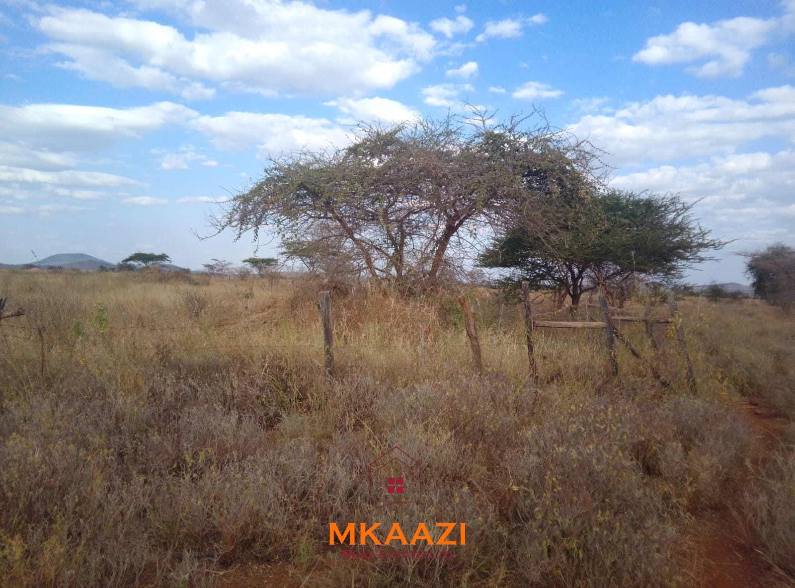 50×100 Plots for Sale at Titeeyio Hub | KES 700K50×100 Plots for Sale at Titeeyio Hub | KES 700K 50×100 plots for sale at 10514 Titeeyio Hub along Emai–Loitoktok Road, 2km from Duka Moja. Ready title deeds, highway access and utilities underway.