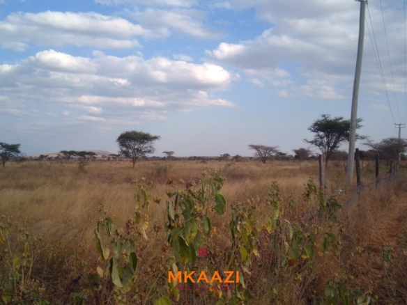 50×100 plots for sale at 10514 Titeeyio Hub along Emai–Loitoktok Road, 2km from Duka Moja. Ready title deeds, highway access and utilities underway.