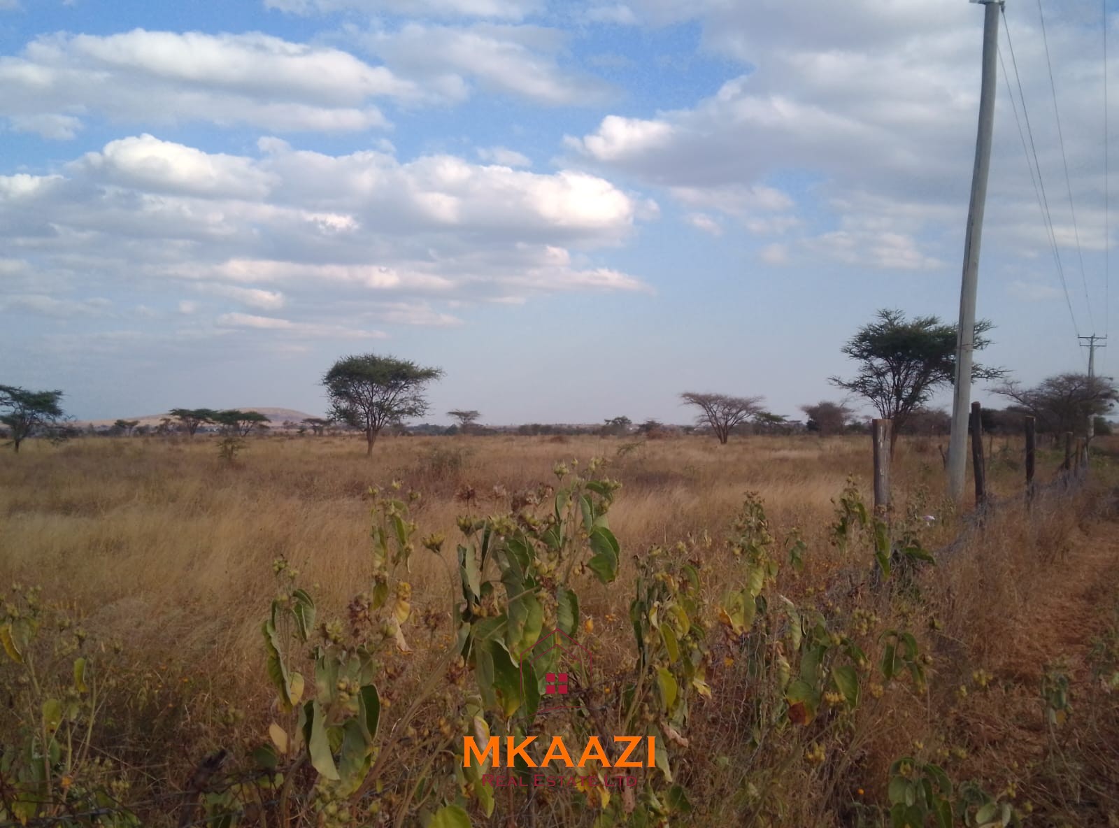 50×100 Plots for Sale at Titeeyio Hub | KES 700K 50×100 plots for sale at 10514 Titeeyio Hub along Emai–Loitoktok Road, 2km from Duka Moja. Ready title deeds, highway access and utilities underway.