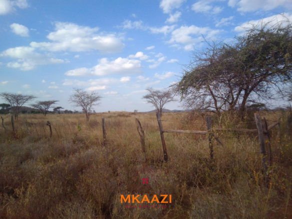 50×100 plots for sale at 10514 Titeeyio Hub along Emai–Loitoktok Road, 2km from Duka Moja. Ready title deeds, highway access and utilities underway.