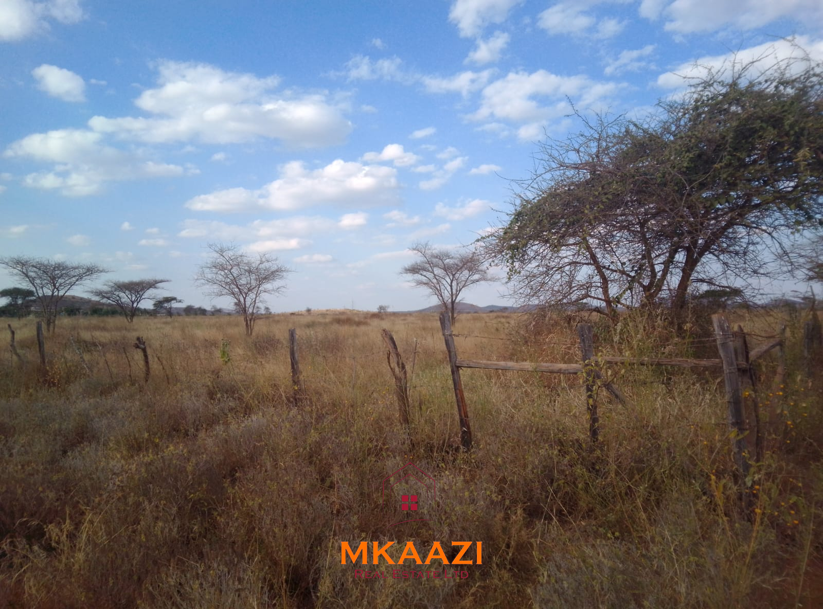 50×100 Plots for Sale at Titeeyio Hub | KES 700K 50×100 plots for sale at 10514 Titeeyio Hub along Emai–Loitoktok Road, 2km from Duka Moja. Ready title deeds, highway access and utilities underway.