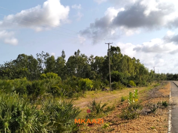 2-acre tarmac and creek-front land for sale near Lamu Port, ideal for tourism, commercial, residential, waterfront and logistics development.