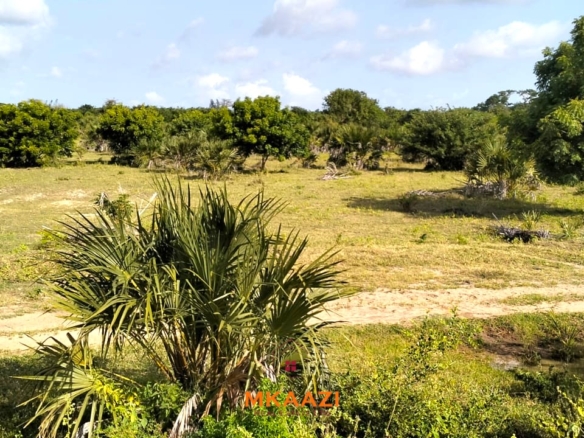 2-acre tarmac and creek-front land for sale near Lamu Port, ideal for tourism, commercial, residential, waterfront and logistics development.