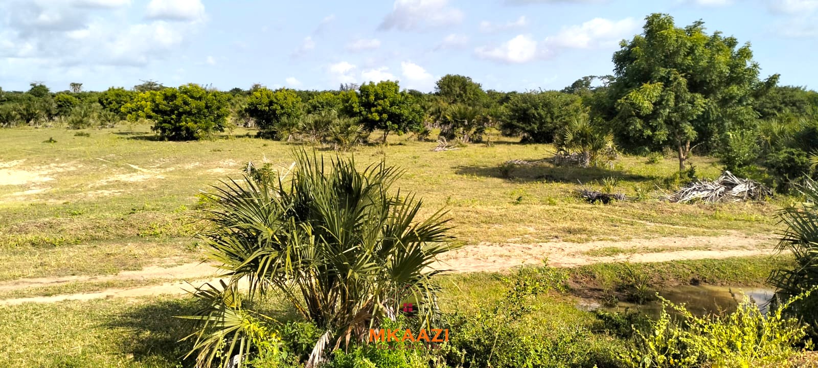 2 Acres Tarmac & Creek Land Near Lamu Port 2-acre tarmac and creek-front land for sale near Lamu Port, ideal for tourism, commercial, residential, waterfront and logistics development.