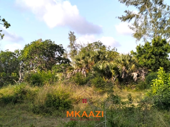 15 acres of prime investment land for sale near Lamu Port at KSh 2.7M per acre. Ideal for commercial, tourism, residential, logistics and long-term land banking.