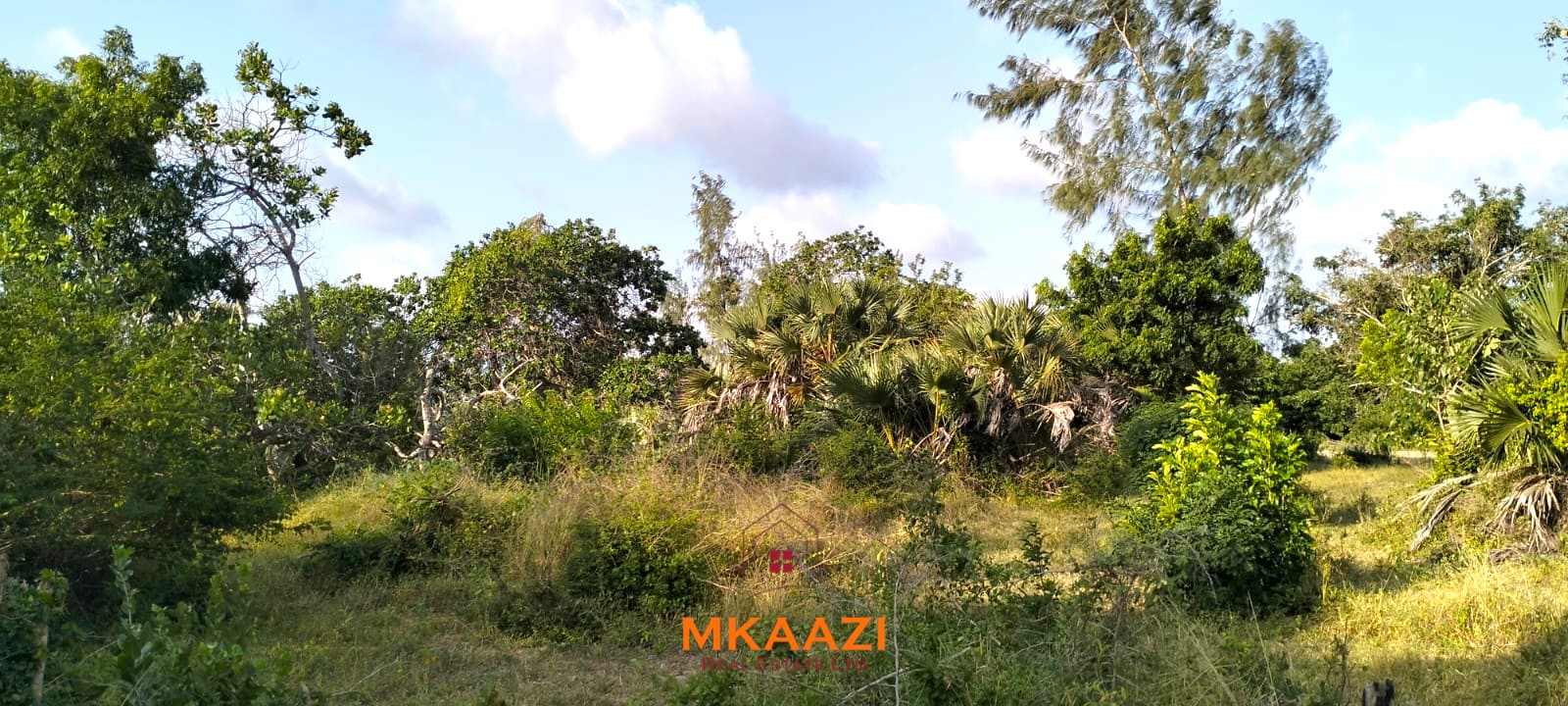 15 Acres Land for Sale Near Lamu Port 15 acres of prime investment land for sale near Lamu Port at KSh 2.7M per acre. Ideal for commercial, tourism, residential, logistics and long-term land banking.