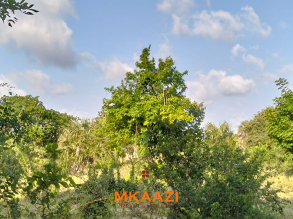 15 acres of prime investment land for sale near Lamu Port at KSh 2.7M per acre. Ideal for commercial, tourism, residential, logistics and long-term land banking.