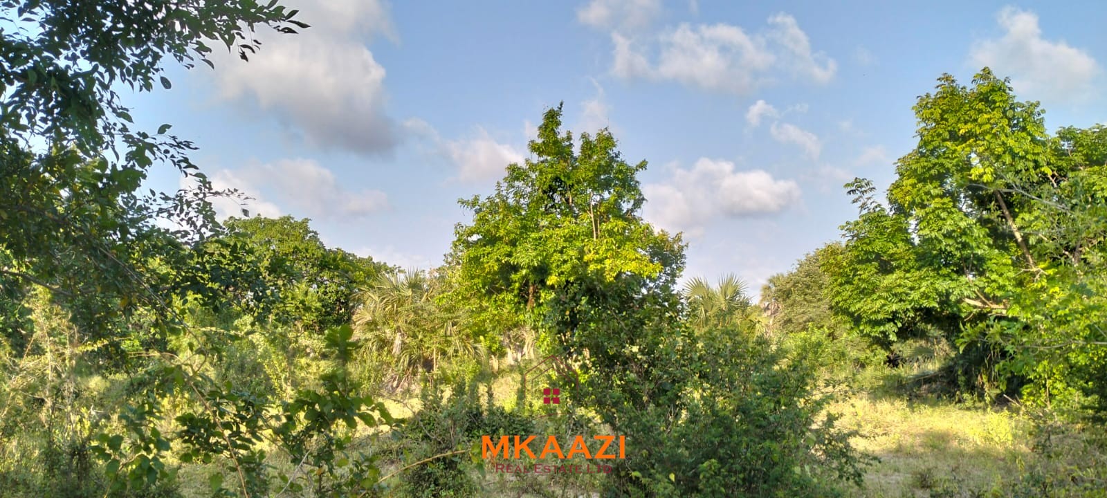 15 Acres Land for Sale Near Lamu Port 15 acres of prime investment land for sale near Lamu Port at KSh 2.7M per acre. Ideal for commercial, tourism, residential, logistics and long-term land banking.
