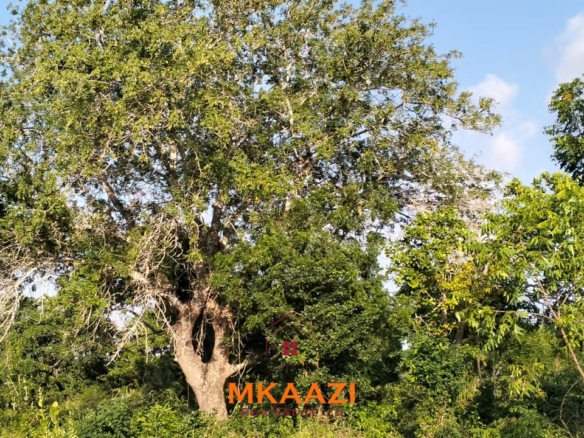 15 acres of prime investment land for sale near Lamu Port at KSh 2.7M per acre. Ideal for commercial, tourism, residential, logistics and long-term land banking.