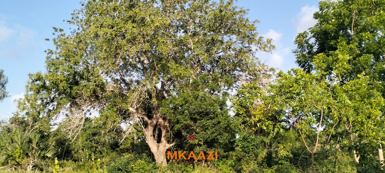15 Acres Land for Sale Near Lamu Port 15 acres of prime investment land for sale near Lamu Port at KSh 2.7M per acre. Ideal for commercial, tourism, residential, logistics and long-term land banking.