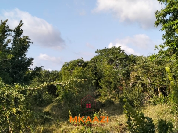 15 acres of prime investment land for sale near Lamu Port at KSh 2.7M per acre. Ideal for commercial, tourism, residential, logistics and long-term land banking.