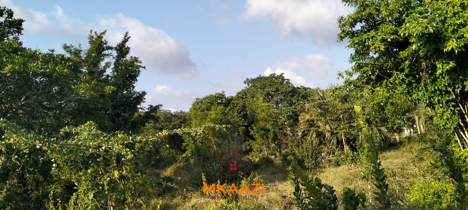 15 Acres Land for Sale Near Lamu Port 15 acres of prime investment land for sale near Lamu Port at KSh 2.7M per acre. Ideal for commercial, tourism, residential, logistics and long-term land banking.