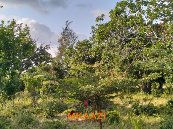 15 acres of prime investment land for sale near Lamu Port at KSh 2.7M per acre. Ideal for commercial, tourism, residential, logistics and long-term land banking.