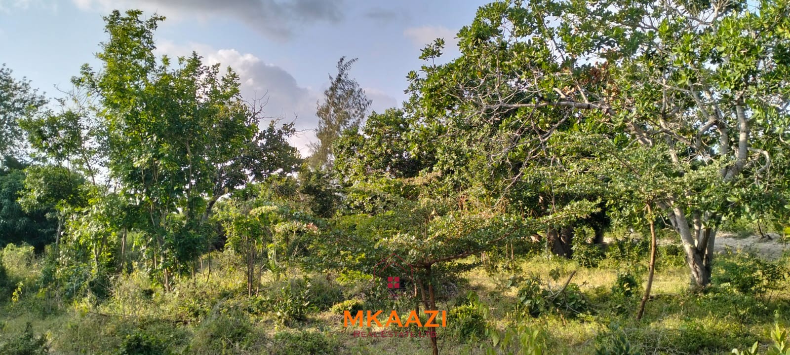 15 Acres Land for Sale Near Lamu Port 15 acres of prime investment land for sale near Lamu Port at KSh 2.7M per acre. Ideal for commercial, tourism, residential, logistics and long-term land banking.