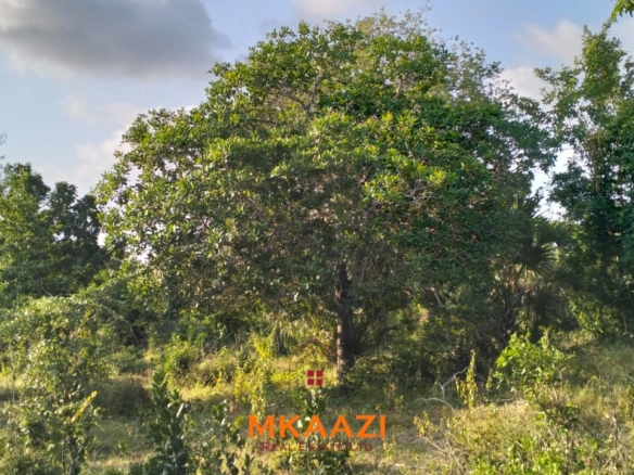 15 acres of prime investment land for sale near Lamu Port at KSh 2.7M per acre. Ideal for commercial, tourism, residential, logistics and long-term land banking.