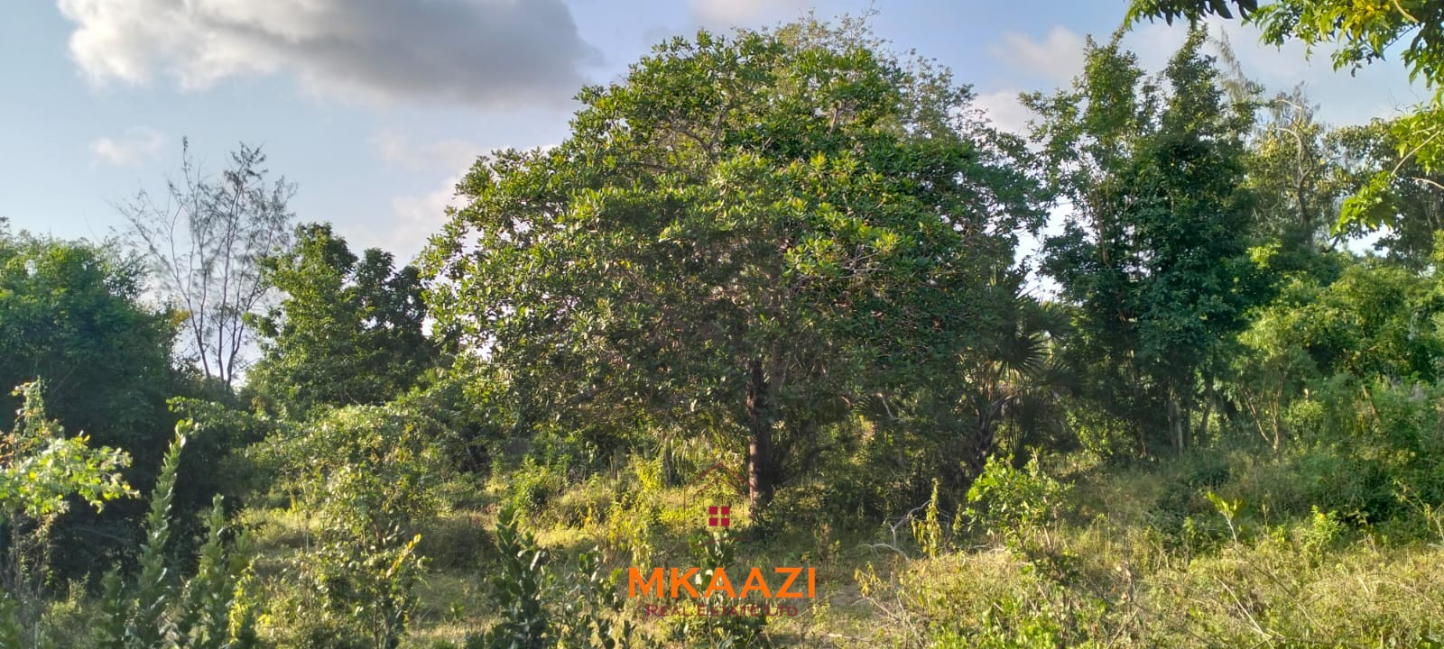 15 Acres Land for Sale Near Lamu Port 15 acres of prime investment land for sale near Lamu Port at KSh 2.7M per acre. Ideal for commercial, tourism, residential, logistics and long-term land banking.