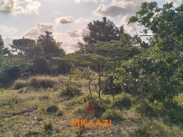 15 acres of prime investment land for sale near Lamu Port at KSh 2.7M per acre. Ideal for commercial, tourism, residential, logistics and long-term land banking.