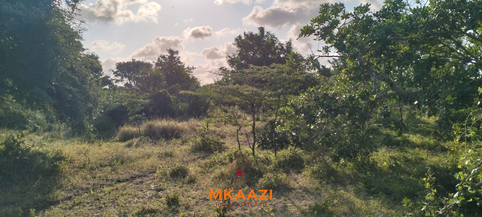 15 Acres Land for Sale Near Lamu Port 15 acres of prime investment land for sale near Lamu Port at KSh 2.7M per acre. Ideal for commercial, tourism, residential, logistics and long-term land banking.