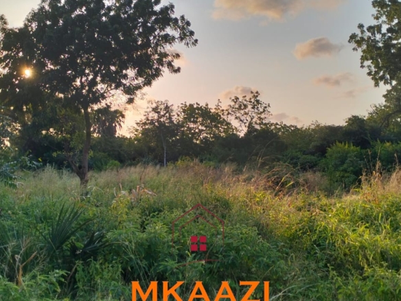 5 acres for sale in Kauthara near Lamu Port, 400m from tarmac. Positioned within the LAPSSET corridor, ideal for logistics, commercial development, tourism and land banking.