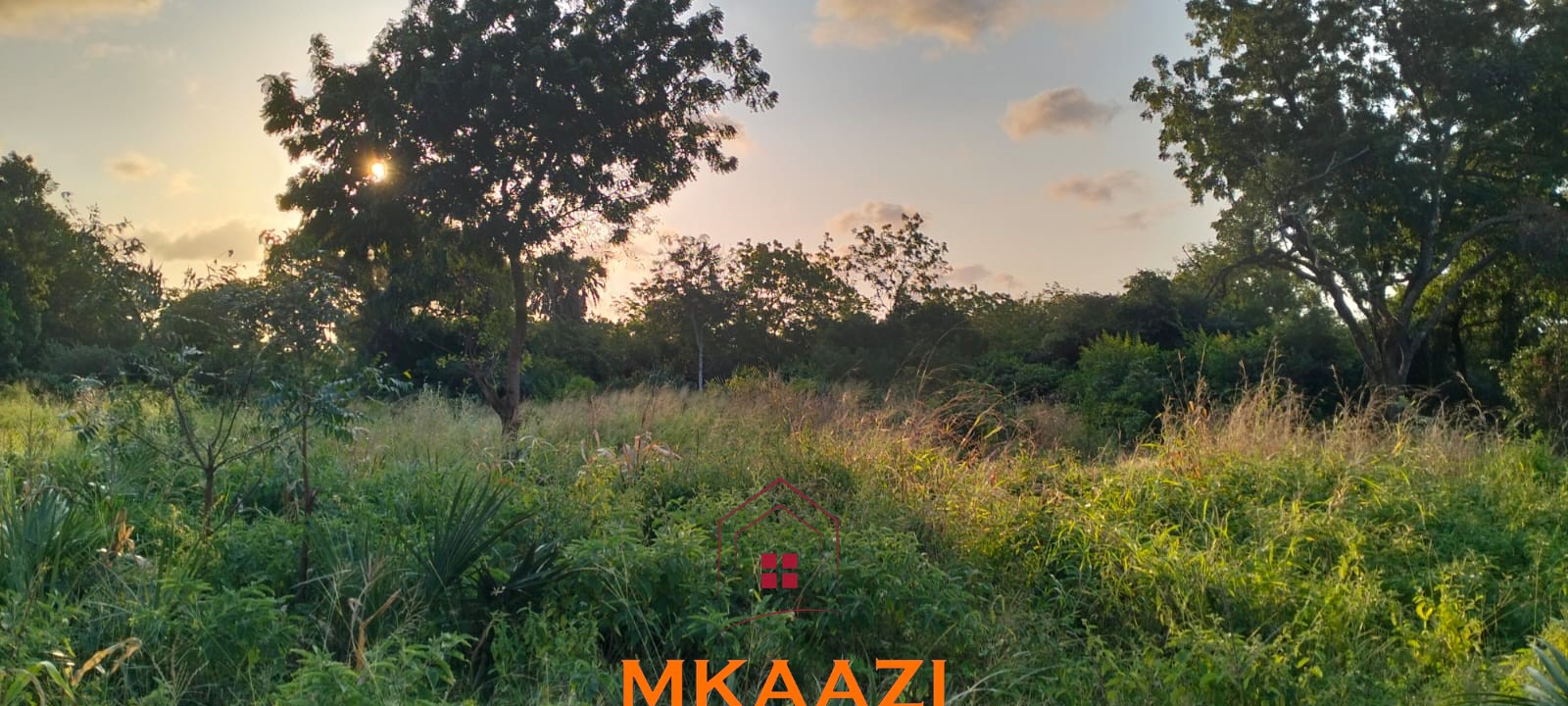 5 Acres Near Lamu Port | LAPSSET Investment 5 acres for sale in Kauthara near Lamu Port, 400m from tarmac. Positioned within the LAPSSET corridor, ideal for logistics, commercial development, tourism and land banking.