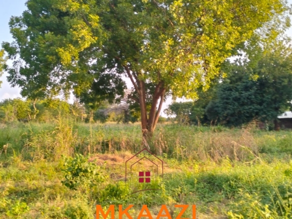 5 acres for sale in Kauthara near Lamu Port, 400m from tarmac. Positioned within the LAPSSET corridor, ideal for logistics, commercial development, tourism and land banking.