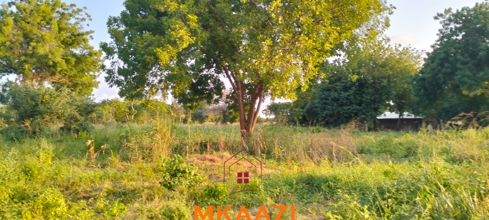 5 Acres Near Lamu Port | LAPSSET Investment 5 acres for sale in Kauthara near Lamu Port, 400m from tarmac. Positioned within the LAPSSET corridor, ideal for logistics, commercial development, tourism and land banking.