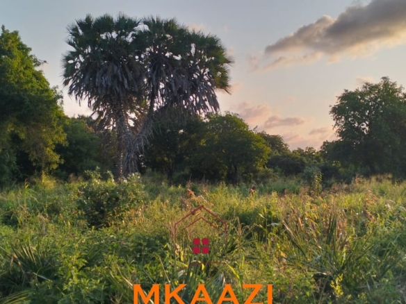 5 acres for sale in Kauthara near Lamu Port, 400m from tarmac. Positioned within the LAPSSET corridor, ideal for logistics, commercial development, tourism and land banking.