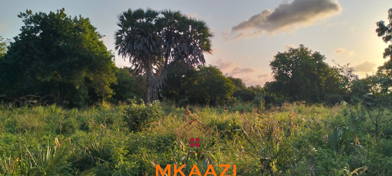 5 Acres Near Lamu Port | LAPSSET Investment 5 acres for sale in Kauthara near Lamu Port, 400m from tarmac. Positioned within the LAPSSET corridor, ideal for logistics, commercial development, tourism and land banking.