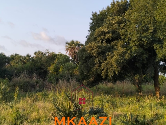5 acres for sale in Kauthara near Lamu Port, 400m from tarmac. Positioned within the LAPSSET corridor, ideal for logistics, commercial development, tourism and land banking.
