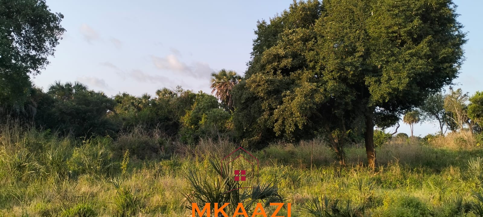 5 Acres Near Lamu Port | LAPSSET Investment 5 acres for sale in Kauthara near Lamu Port, 400m from tarmac. Positioned within the LAPSSET corridor, ideal for logistics, commercial development, tourism and land banking.