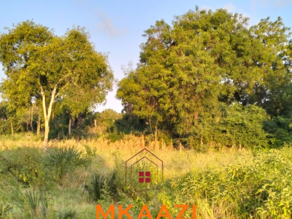 5 acres for sale in Kauthara near Lamu Port, 400m from tarmac. Positioned within the LAPSSET corridor, ideal for logistics, commercial development, tourism and land banking.