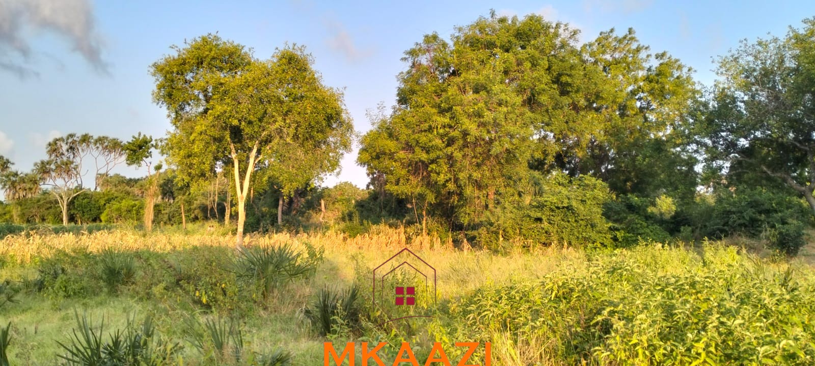 5 Acres Near Lamu Port | LAPSSET Investment 5 acres for sale in Kauthara near Lamu Port, 400m from tarmac. Positioned within the LAPSSET corridor, ideal for logistics, commercial development, tourism and land banking.