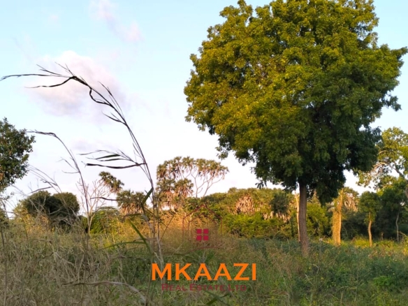 50×100 plots for sale in Hindi Reserve at KSh 499,000. Only 15 units available, beaconed and with ready title deeds. Ideal for homes and land investment.