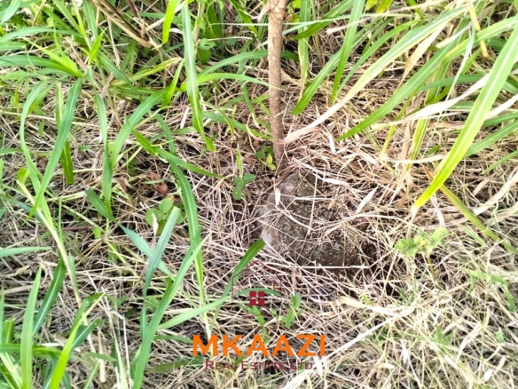 50×100 plots for sale in Hindi Reserve at KSh 499,000. Only 15 units available, beaconed and with ready title deeds. Ideal for homes and land investment.
