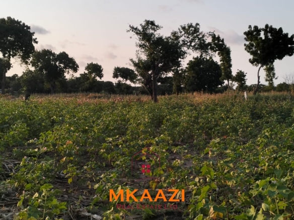 50×100 plots for sale in Hindi Reserve at KSh 499,000. Only 15 units available, beaconed and with ready title deeds. Ideal for homes and land investment.