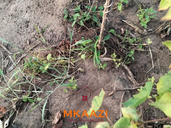 50×100 plots for sale in Hindi Reserve at KSh 499,000. Only 15 units available, beaconed and with ready title deeds. Ideal for homes and land investment.
