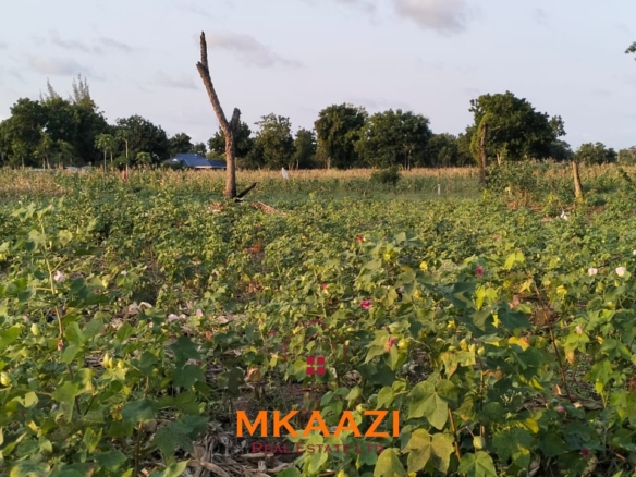 50×100 plots for sale in Hindi Reserve at KSh 499,000. Only 15 units available, beaconed and with ready title deeds. Ideal for homes and land investment.