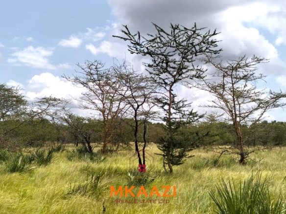 26,000 acres of prime land for sale in Lamu County, touching the LAPSET road connecting Lamu Port to Garissa, with a creek and mature mangrove forest. Asking KSh 230,000 per acre.