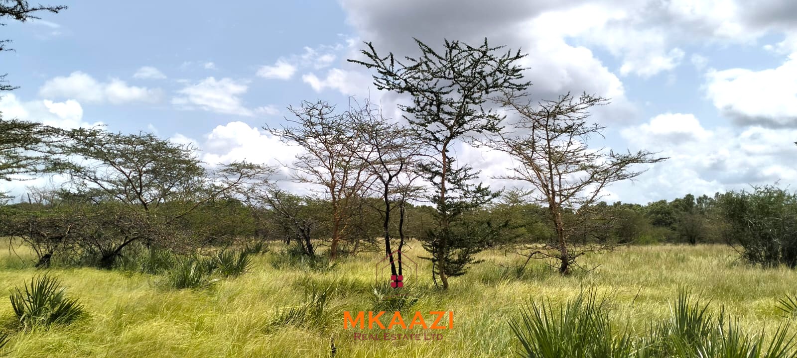26,000 Acres for Sale in Lamu | LAPSET Corridor 26,000 acres of prime land for sale in Lamu County, touching the LAPSET road connecting Lamu Port to Garissa, with a creek and mature mangrove forest. Asking KSh 230,000 per acre.