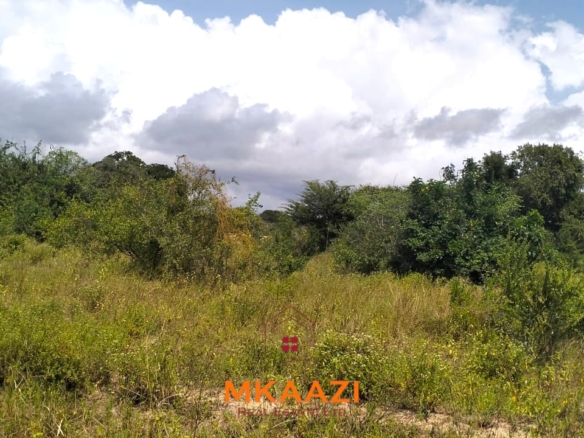 26,000 acres of prime land for sale in Lamu County, touching the LAPSET road connecting Lamu Port to Garissa, with a creek and mature mangrove forest. Asking KSh 230,000 per acre.