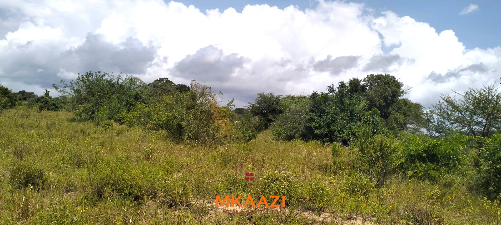 26,000 Acres for Sale in Lamu | LAPSET Corridor 26,000 acres of prime land for sale in Lamu County, touching the LAPSET road connecting Lamu Port to Garissa, with a creek and mature mangrove forest. Asking KSh 230,000 per acre.