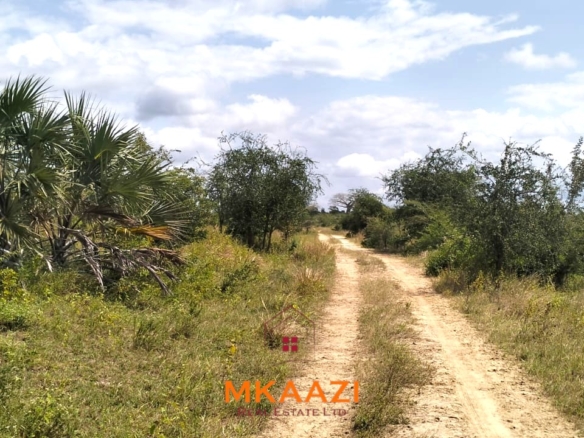 26,000 acres of prime land for sale in Lamu County, touching the LAPSET road connecting Lamu Port to Garissa, with a creek and mature mangrove forest. Asking KSh 230,000 per acre.