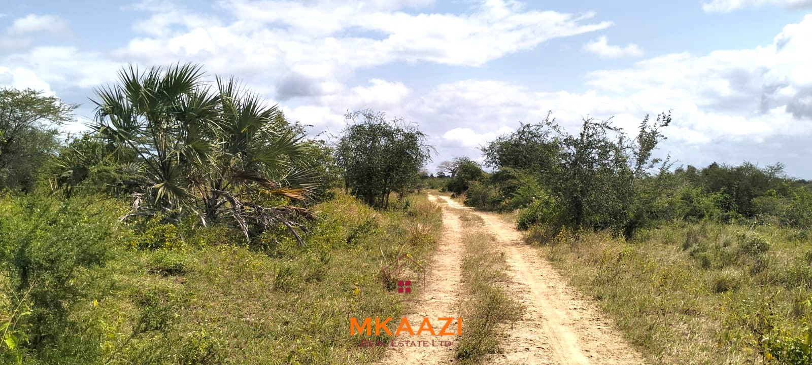 26,000 Acres for Sale in Lamu | LAPSET Corridor 26,000 acres of prime land for sale in Lamu County, touching the LAPSET road connecting Lamu Port to Garissa, with a creek and mature mangrove forest. Asking KSh 230,000 per acre.