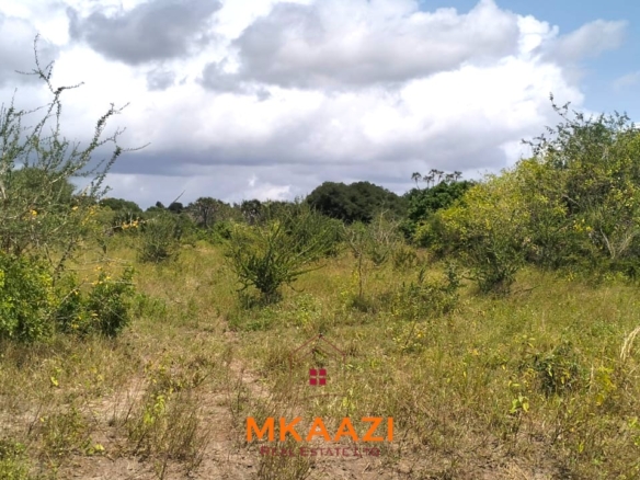 26,000 acres of prime land for sale in Lamu County, touching the LAPSET road connecting Lamu Port to Garissa, with a creek and mature mangrove forest. Asking KSh 230,000 per acre.