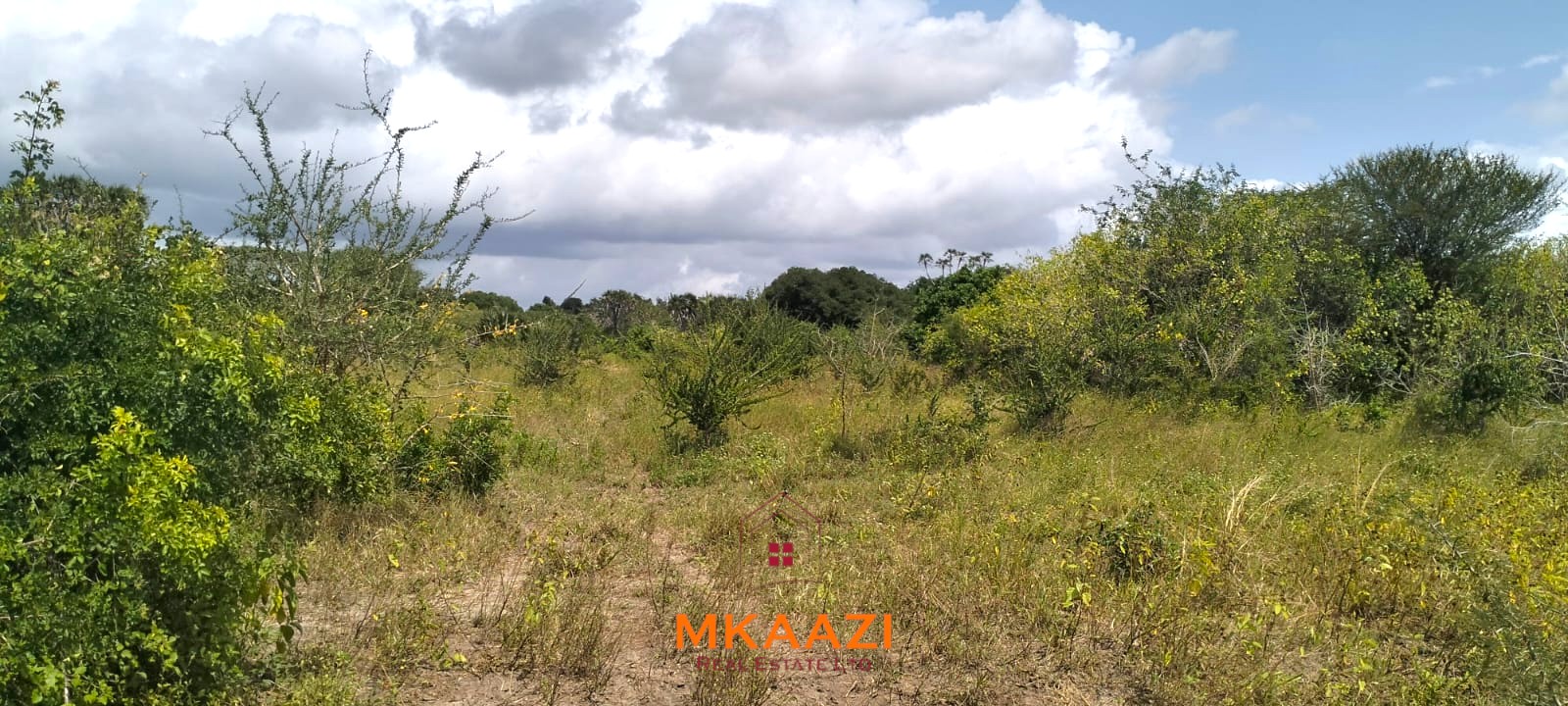 26,000 Acres for Sale in Lamu | LAPSET Corridor 26,000 acres of prime land for sale in Lamu County, touching the LAPSET road connecting Lamu Port to Garissa, with a creek and mature mangrove forest. Asking KSh 230,000 per acre.