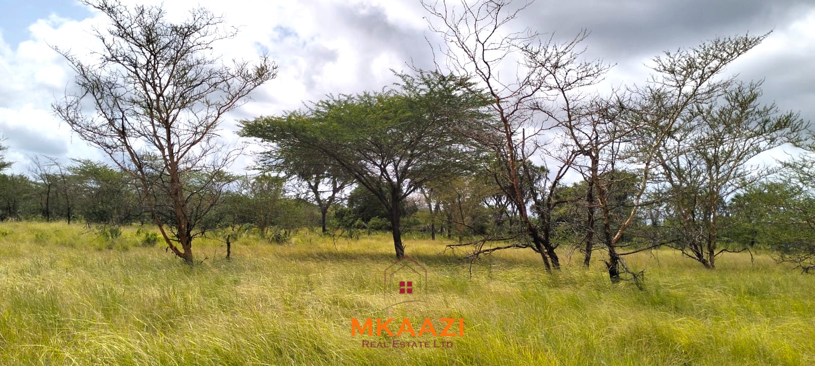 26,000 Acres for Sale in Lamu | LAPSET Corridor 26,000 acres of prime land for sale in Lamu County, touching the LAPSET road connecting Lamu Port to Garissa, with a creek and mature mangrove forest. Asking KSh 230,000 per acre.